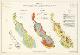 11685_PNG_Territory of Papua and New Guinea_Bougainville and Buka Islands - Land Use and Population, Land use Capability, Forest Types_600K__master.jpg.jpg
